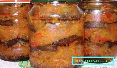 41-10 Еггплант Бланкс Рецепти
