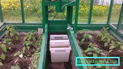 Аутоматско прање у стакленику: карактеристике и типови Аутоматско прање у стакленику: карактеристике и типови