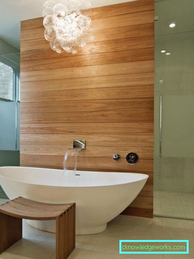 Прозирно купатило - 65 фотографија стилског дизајна