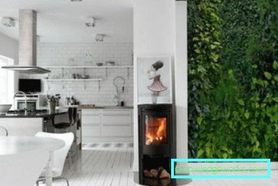 Фотосалон у унутрашњости кухиње