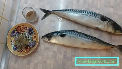 119. Како солити скушу