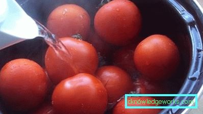 42 - Како направити бугарски бибер