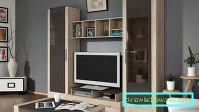 Кабинетски намештај за салон у модерном стилу - фотографија у ентеријеру