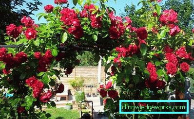 Кућа од 38 спратова