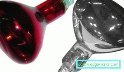 Свјетиљке за стакленике: критерији одабира Свјетиљке за стакленике: критерији одабира
