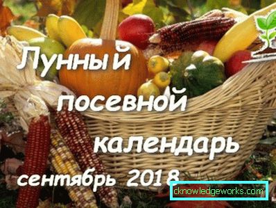 202-лунарни календар за вртларе