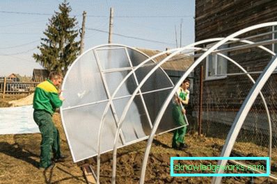 Поликарбонатни стакленици: врсте и предности Поликарбонатни стакленици: врсте и предности