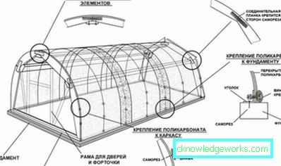 Како направити стакленик за биљке? Како направити стакленик за биљке?