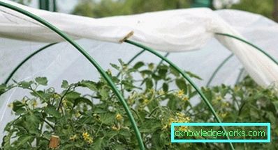 Стакленици од лукова са покривним материјалом: опис и употреба Стакленици од лукова са покривним материјалом: опис и употреба