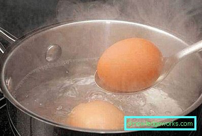 242-Риба зрази са јајима и луком