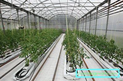 Како направити стакленик?
