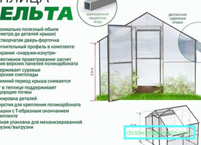 Стакленици Стакленици