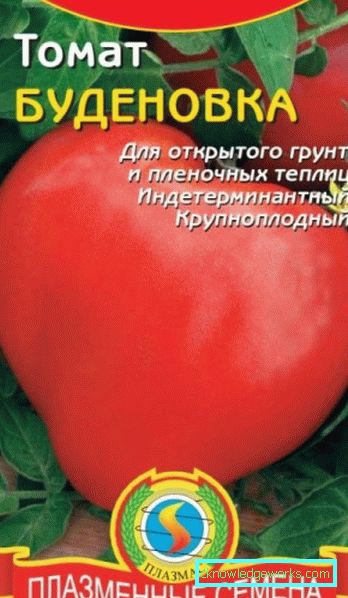 55 Томато буденовка