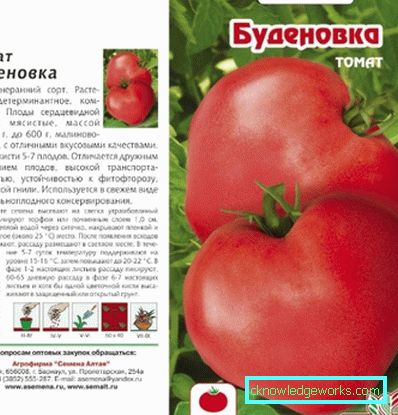 55 Томато буденовка