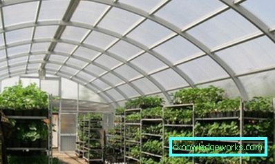 Зимски стакленици: карактеристике уређаја и производње Зимски стакленици: карактеристике уређаја и производње